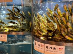 -老船舫·现做活鲜鱼馆(东郊记忆店)
