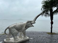 -湖滨客舍·湖北菜