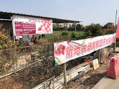 -新地休闲农场