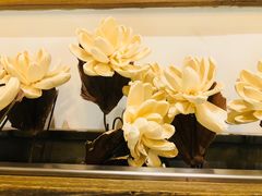 -Lotus 莲花空间(国贸商城店)