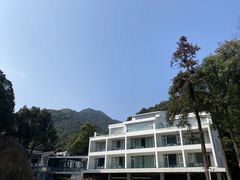 -龙坞茶村