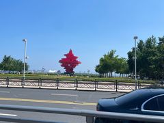 -五四广场