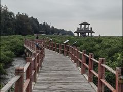 -北海金海湾红树林生态旅游区