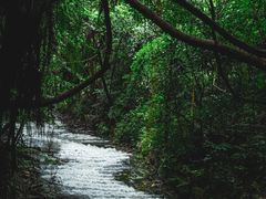 -燕晗山郊野公园