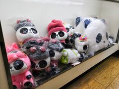 -熊猫邮局(少城店)
