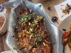 -树厨贵州菜(大十字店)