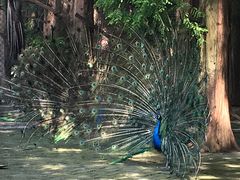 -南京金牛湖风景区