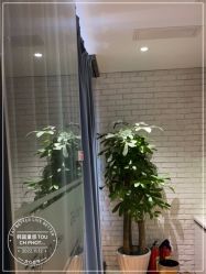 -韩国童感TOUCH PHOTO儿童摄影(朝阳分店)