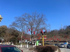 -南京老山国家森林公园