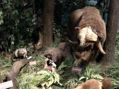 -陕西自然博物馆