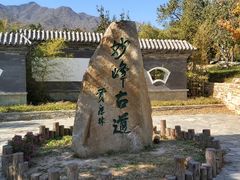 -阳台山自然风景区