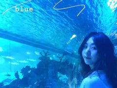 -常州海昌海洋探索馆