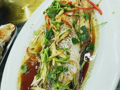 -烁佳海鲜大馅饺子