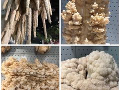 -重庆自然博物馆(新馆)