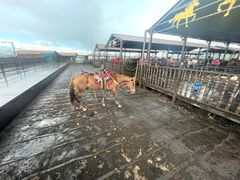 -新疆那拉提国家旅游度假区