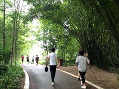 -桤木河湿地公园