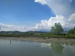 -盐洲岛