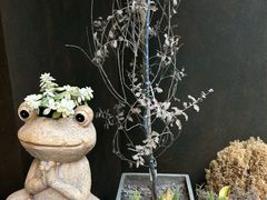 -甘婆婆醪糟汤圆