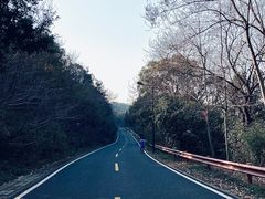 -宝界山林公园