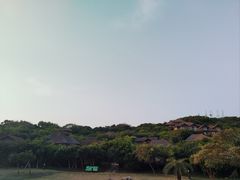 -杨梅坑