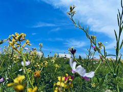 -长安大学(北校区)