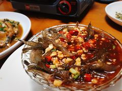 -全乐鱼馆·淳牌有机鱼直营店