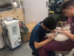 -爱诺耐芙动物医院(万博店)