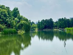 -白塘生态植物园