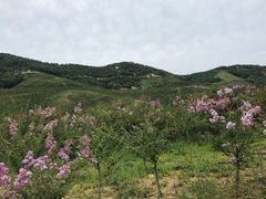 -威海华夏城景区