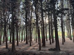 -SeekSeeking咖啡专门店(堰塘街店)