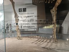 -武汉园博园(武汉自然博物馆)