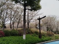 -堤角公园