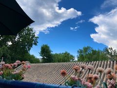 -Sirena海妖日咖夜酒