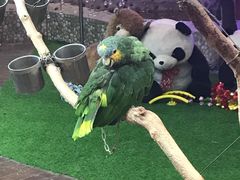 -开元商城(西旺店)
