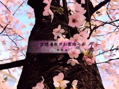 -武汉大学-樱园