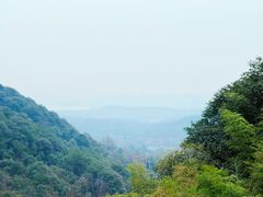 -韬光茶庵
