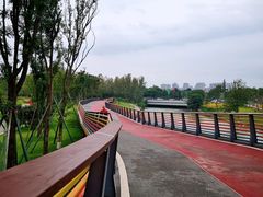 -府河摄影公园