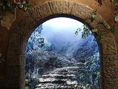 -中国茶叶博物馆(双峰馆区)