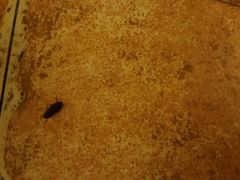 -唐宫足道·SPA·影院会馆(木渎店)