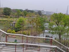 -王借岗森林公园