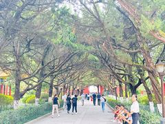 -南岳衡山风景名胜区-南岳大庙