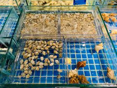 -新长福(星沙店)