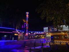 -枫花园汽车电影院(朝阳公园店)