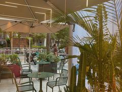 -Infica Coffee