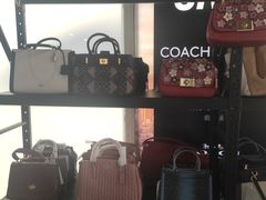 -COACH蔻驰(赛特奥特莱斯店)