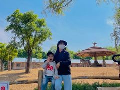 -石家庄市动物园