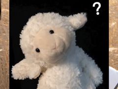 -包装马车·韩国料理·포장마차