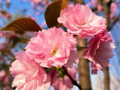 -灞河西岸滨河公园