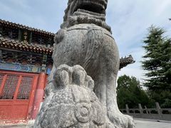 -洛阳白马寺