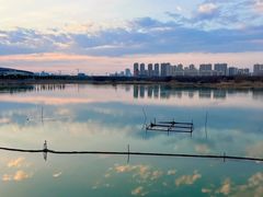 -贡湖湾湿地公园